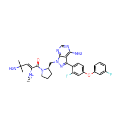 [C-]#[N+]/C(=C\C(C)(C)N)C(=O)N1CCC[C@@H]1Cn1nc(-c2ccc(Oc3cccc(F)c3)cc2F)c2c(N)ncnc21 ZINC001772630206