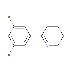 Brc1cc(Br)cc(C2=NCCCC2)c1 ZINC000653699900