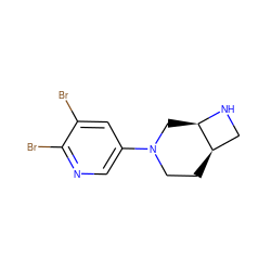 Brc1cc(N2CC[C@@H]3CN[C@@H]3C2)cnc1Br ZINC000035080282