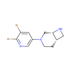 Brc1cc(N2CC[C@H]3CN[C@H]3C2)cnc1Br ZINC000035080250