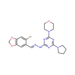 Brc1cc2c(cc1/C=N/Nc1nc(N3CCCC3)nc(N3CCOCC3)n1)OCO2 ZINC000008403555