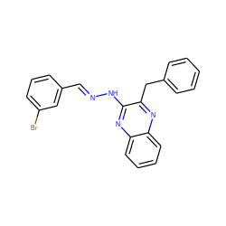 Brc1cccc(/C=N/Nc2nc3ccccc3nc2Cc2ccccc2)c1 ZINC000064548632