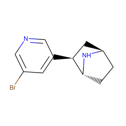 Brc1cncc([C@H]2C[C@H]3CC[C@H]2N3)c1 ZINC000253638071