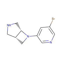 Brc1cncc(N2C[C@@H]3CNC[C@@H]32)c1 ZINC000028865858