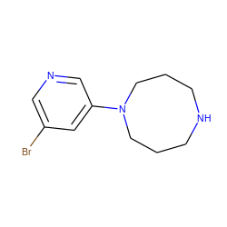 Brc1cncc(N2CCCNCCC2)c1 ZINC000013704037