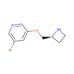 Brc1cncc(OC[C@@H]2CCN2)c1 ZINC000013781186