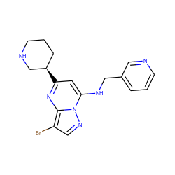 Brc1cnn2c(NCc3cccnc3)cc([C@@H]3CCCNC3)nc12 ZINC000028958962