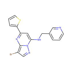 Brc1cnn2c(NCc3cccnc3)cc(-c3cccs3)nc12 ZINC000028959038