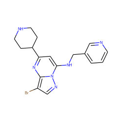 Brc1cnn2c(NCc3cccnc3)cc(C3CCNCC3)nc12 ZINC000028958991