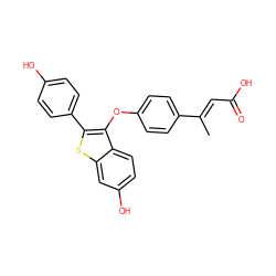 C/C(=C\C(=O)O)c1ccc(Oc2c(-c3ccc(O)cc3)sc3cc(O)ccc23)cc1 ZINC000221174990