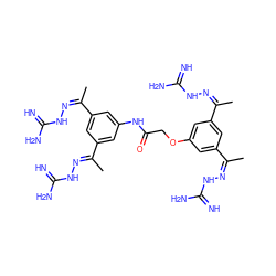 C/C(=N/NC(=N)N)c1cc(OCC(=O)Nc2cc(/C(C)=N\NC(=N)N)cc(/C(C)=N/NC(=N)N)c2)cc(/C(C)=N\NC(=N)N)c1 ZINC000066258390