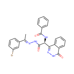 C/C(=N\NC(=O)[C@@H](NC(=O)c1ccccc1)c1n[nH]c(=O)c2ccccc12)c1cccc(Br)c1 ZINC000013302309