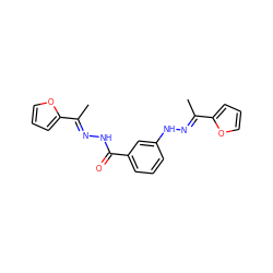 C/C(=N\NC(=O)c1cccc(N/N=C(\C)c2ccco2)c1)c1ccco1 ZINC000004863599