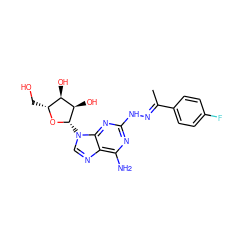 C/C(=N\Nc1nc(N)c2ncn([C@@H]3O[C@H](CO)[C@@H](O)[C@H]3O)c2n1)c1ccc(F)cc1 ZINC000003932651