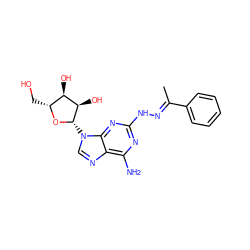 C/C(=N\Nc1nc(N)c2ncn([C@@H]3O[C@H](CO)[C@@H](O)[C@H]3O)c2n1)c1ccccc1 ZINC000012405505