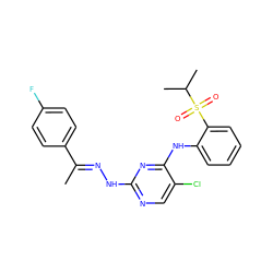 C/C(=N\Nc1ncc(Cl)c(Nc2ccccc2S(=O)(=O)C(C)C)n1)c1ccc(F)cc1 ZINC001772624553