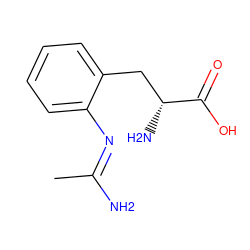 C/C(N)=N\c1ccccc1C[C@@H](N)C(=O)O ZINC000029472803