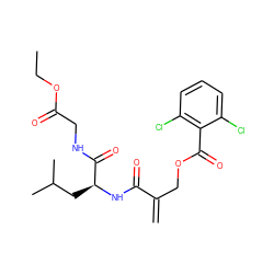 C=C(COC(=O)c1c(Cl)cccc1Cl)C(=O)N[C@@H](CC(C)C)C(=O)NCC(=O)OCC ZINC000084635135