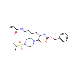 C=CC(=O)NCCCC[C@H](NC(=O)OCc1ccccc1)C(=O)N1CCN(S(=O)(=O)C(C)C)CC1 ZINC001772632739