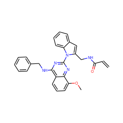 C=CC(=O)NCc1cc2ccccc2n1-c1nc(NCc2ccccc2)c2cccc(OC)c2n1 ZINC000219001100