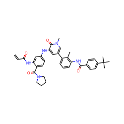 C=CC(=O)Nc1cc(Nc2cc(-c3cccc(NC(=O)c4ccc(C(C)(C)C)cc4)c3C)cn(C)c2=O)ccc1C(=O)N1CCCC1 ZINC001772577473