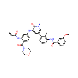 C=CC(=O)Nc1cc(Nc2cc(-c3cccc(NC(=O)c4cccc(OC)c4)c3C)cn(C)c2=O)ccc1C(=O)N1CCOCC1 ZINC001772578490