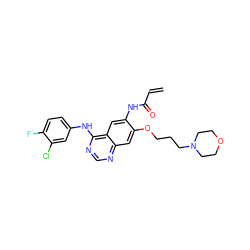 C=CC(=O)Nc1cc2c(Nc3ccc(F)c(Cl)c3)ncnc2cc1OCCCN1CCOCC1 ZINC000027439698