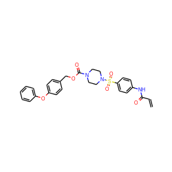 C=CC(=O)Nc1ccc(S(=O)(=O)N2CCN(C(=O)OCc3ccc(Oc4ccccc4)cc3)CC2)cc1 ZINC000084732978