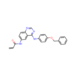 C=CC(=O)Nc1ccc2ncnc(Nc3ccc(OCc4ccccc4)cc3)c2c1 ZINC000000583064