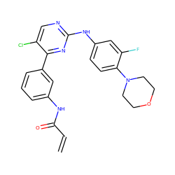 C=CC(=O)Nc1cccc(-c2nc(Nc3ccc(N4CCOCC4)c(F)c3)ncc2Cl)c1 ZINC000146942666