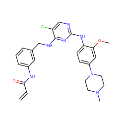 C=CC(=O)Nc1cccc(CNc2nc(Nc3ccc(N4CCN(C)CC4)cc3OC)ncc2Cl)c1 ZINC000263621089