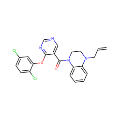 C=CCN1CCN(C(=O)c2cncnc2Oc2cc(Cl)ccc2Cl)c2ccccc21 ZINC000095574428