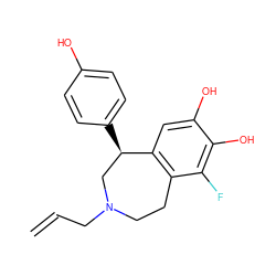 C=CCN1CCc2c(cc(O)c(O)c2F)[C@H](c2ccc(O)cc2)C1 ZINC000027310711