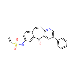 C=CS(=O)(=O)Nc1ccc2ccc3ncc(-c4ccccc4)cc3c(=O)c2c1 ZINC000072109090