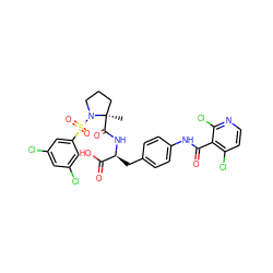 C[C@@]1(C(=O)N[C@@H](Cc2ccc(NC(=O)c3c(Cl)ccnc3Cl)cc2)C(=O)O)CCCN1S(=O)(=O)c1cc(Cl)cc(Cl)c1 ZINC000029553165