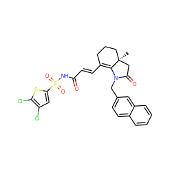 C[C@@]12CCCC(/C=C/C(=O)NS(=O)(=O)c3cc(Cl)c(Cl)s3)=C1N(Cc1ccc3ccccc3c1)C(=O)C2 ZINC000049867628