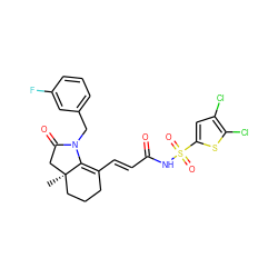 C[C@@]12CCCC(/C=C/C(=O)NS(=O)(=O)c3cc(Cl)c(Cl)s3)=C1N(Cc1cccc(F)c1)C(=O)C2 ZINC000042877405