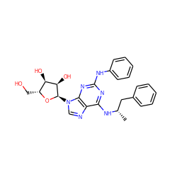 C[C@@H](Cc1ccccc1)Nc1nc(Nc2ccccc2)nc2c1ncn2[C@H]1O[C@H](CO)[C@@H](O)[C@H]1O ZINC000049048543