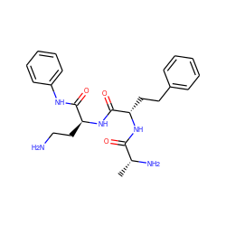 C[C@@H](N)C(=O)N[C@@H](CCc1ccccc1)C(=O)N[C@@H](CCN)C(=O)Nc1ccccc1 ZINC000027434067