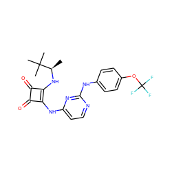 C[C@@H](Nc1c(Nc2ccnc(Nc3ccc(OC(F)(F)F)cc3)n2)c(=O)c1=O)C(C)(C)C ZINC000101595865