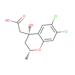 C[C@@H]1C[C@@](O)(CC(=O)O)c2cc(Cl)c(Cl)cc2O1 ZINC000013456143