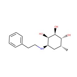 C[C@@H]1C[C@@H](NCCc2ccccc2)[C@@H](O)[C@@H](O)[C@@H]1O ZINC000026717203