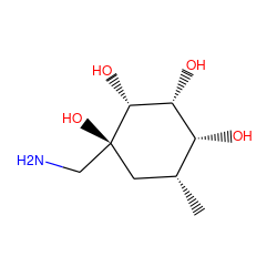 C[C@@H]1C[C@](O)(CN)[C@H](O)[C@H](O)[C@@H]1O ZINC000036351342