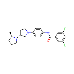 C[C@@H]1CCCN1[C@@H]1CCN(c2ccc(NC(=O)c3cc(Cl)cc(Cl)c3)cc2)C1 ZINC000096929222