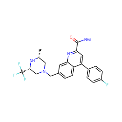 C[C@@H]1CN(Cc2ccc3c(-c4ccc(F)cc4)cc(C(N)=O)nc3c2)C[C@H](C(F)(F)F)N1 ZINC000221617852