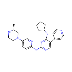 C[C@@H]1CN(c2ccc(Nc3ncc4c5ccncc5n(C5CCCC5)c4n3)nc2)CCN1 ZINC000169706629