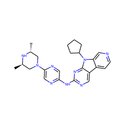 C[C@@H]1CN(c2cnc(Nc3ncc4c5ccncc5n(C5CCCC5)c4n3)cn2)C[C@@H](C)N1 ZINC000169706656