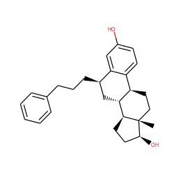 C[C@]12CC[C@@H]3c4ccc(O)cc4[C@H](CCCc4ccccc4)C[C@H]3[C@@H]1CC[C@@H]2O ZINC000653709710