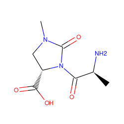 C[C@H](N)C(=O)N1C(=O)N(C)C[C@H]1C(=O)O ZINC000026746466