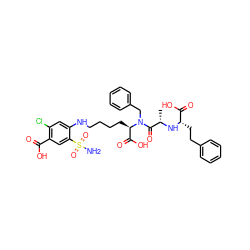 C[C@H](N[C@@H](CCc1ccccc1)C(=O)O)C(=O)N(Cc1ccccc1)[C@H](CCCCNc1cc(Cl)c(C(=O)O)cc1S(N)(=O)=O)C(=O)O ZINC000029346701